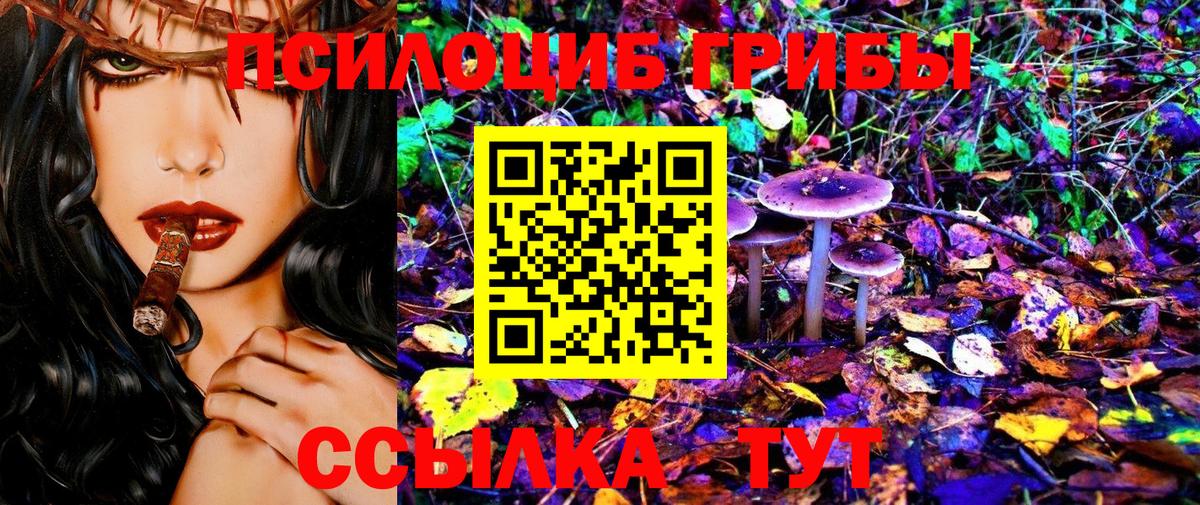 Нижнеудинск  Галлюциногенные грибы прущие грибы  Галлюциногенные грибы Psilocybe  Вход с VPN 